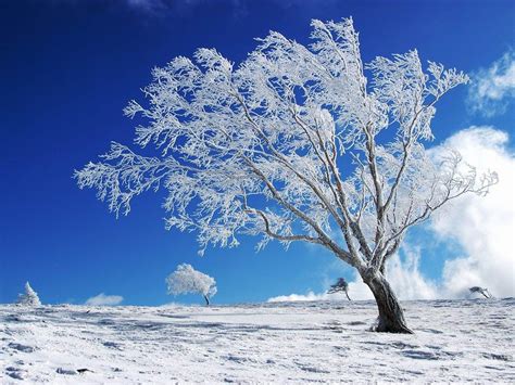 Seasonal Wallpapers - Top Free Seasonal Backgrounds - WallpaperAccess