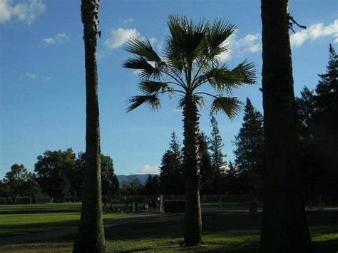 Las Palmas Park (Sunnyvale) - 2021 All You Need to Know BEFORE You Go ...