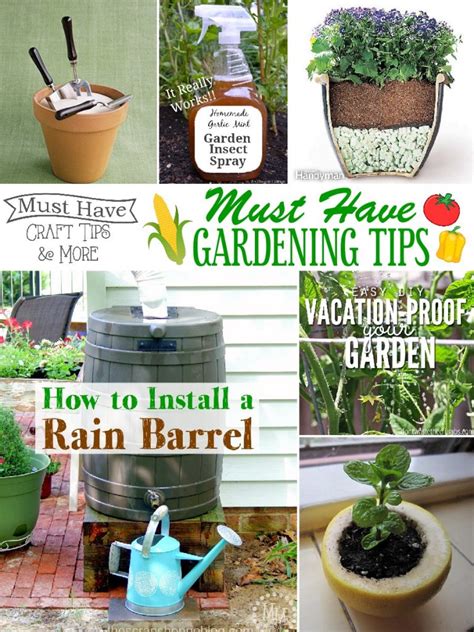 Gardening Tips and Tricks