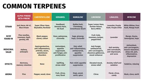 Better Understanding Terpenes — Lucid Green