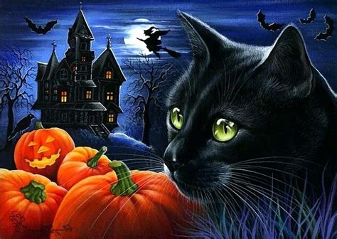 black-cat-halloween-pumpkin-night-animals-hd-wallpaper-free - Cat And ...