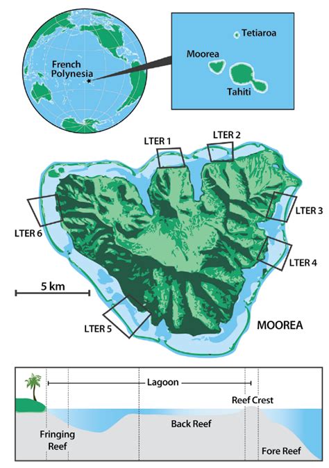 Map of Moorea showing the Moorea Coral Reef Long Term Ecological ...