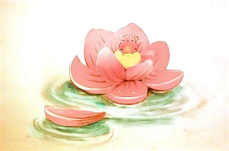 Lotus, chicken, anime, manga, pui, white, pink, chai, HD wallpaper | Peakpx