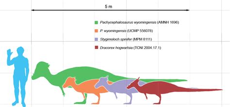 A Dinosaur A Day: Pachycephalosaurus wyomingensis