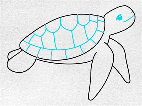 Easy How To Draw A Sea Turtle Tutorial And Sea Turtle Coloring Page Sea ...