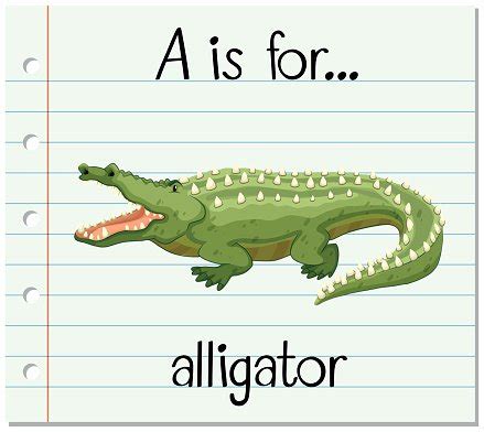 Flashcard Letter A Is For Alligator Stock Vector | Royalty-Free ...