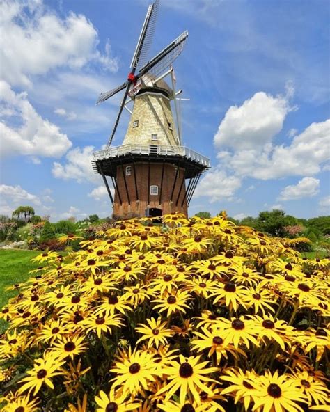 Windmill Island Gardens 2024: Go Inside the Holland Windmill, Learn ...