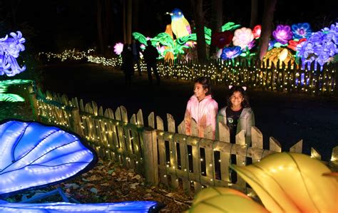 Holiday Lights at Bronx Zoo Opens November 18 - New York Loves Kids