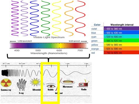 Pin by Jacqueline Calip on Colours | Visible light spectrum, Visible ...