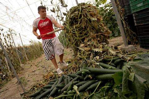 E. coli outbreak in Europe - Photos - The Big Picture - Boston.com