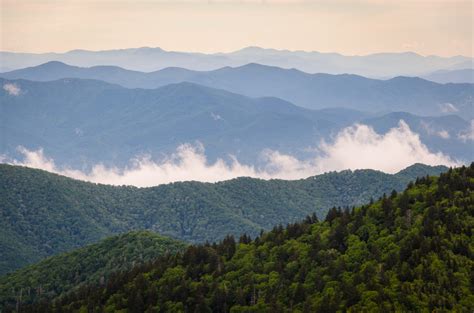 Things to Know About the Smoky Mountain Alpine Coaster in Pigeon Forge ...