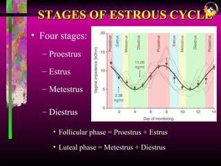 Presentation on ESTROUS CYCLE