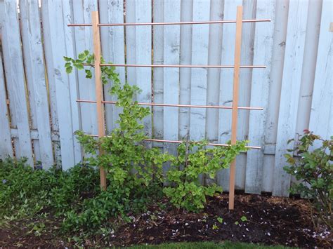 My husband and I made this simple trellis for our climbing hydrangea! I ...