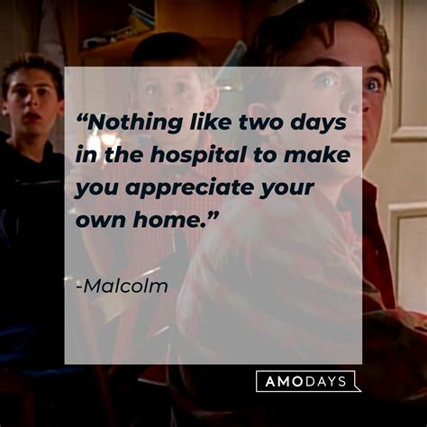 37 Malcolm in the Middle Quotes from One of the Greatest Sitcom Series