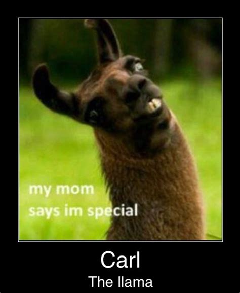 Carl The Llama Quotes. QuotesGram