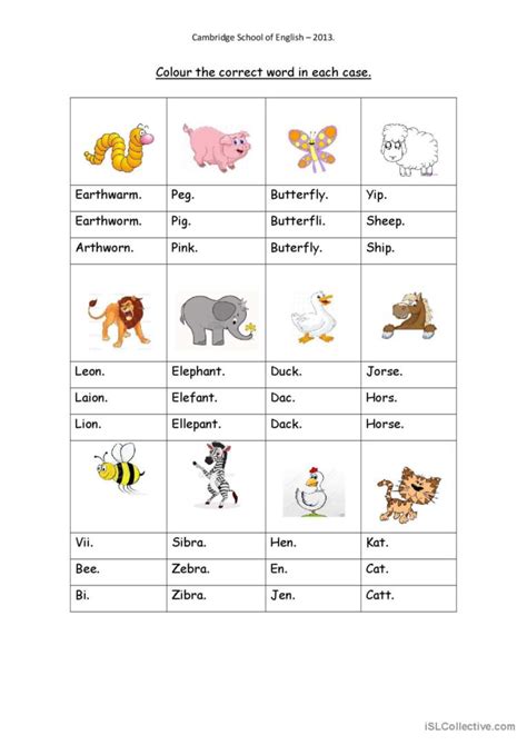 Vocabulary Pictures For Kids