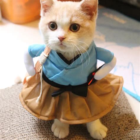 Funny Cat Costume Uniform Suit Cat Clothes Costume Puppy Clothes ...