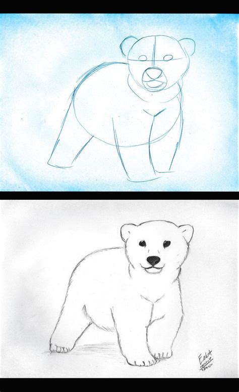 How to draw Polar Bear Cub by Hauru7 Polar Bear Drawing, Polar Bear Art ...