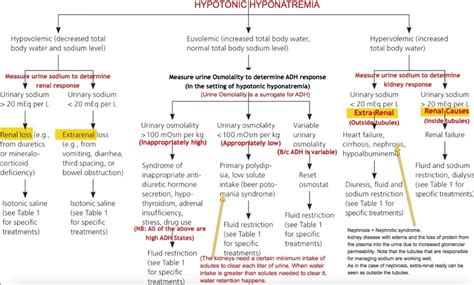 Determining the Cause of Hyponatremia | Time of Care