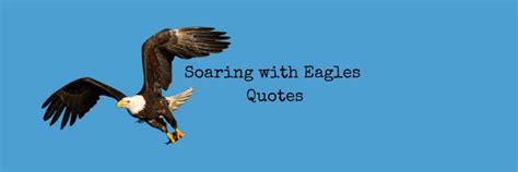 42 Soaring with Eagles Quotes 2024 - Mzuri Springs