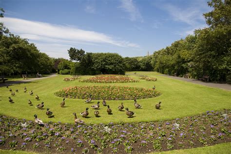 Redcar's beautiful Locke Park.