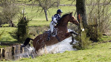 Cleveland Bay horse: a versatile breed that can turn its hoof to any job