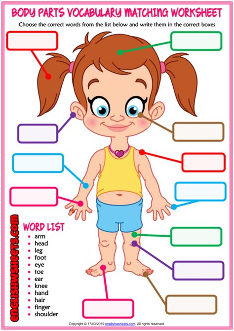 Body Parts ESL Matching Exercise Worksheet For Kids