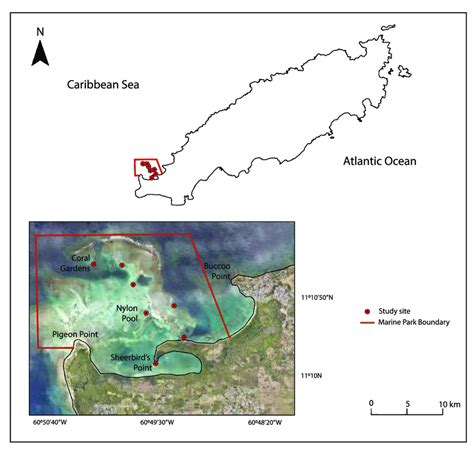 Location of the study area-the Buccoo Reef Marine Park in Tobago (with ...