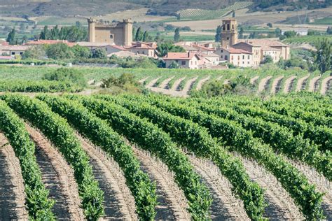 Your 2024 guide to Rioja wine region | Winetourism.com