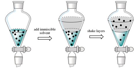 solid liquid extraction experiment - Evan Dyer