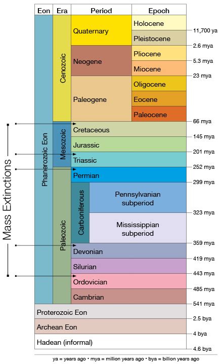 Extinction Events On Earth Timeline - The Earth Images Revimage.Org