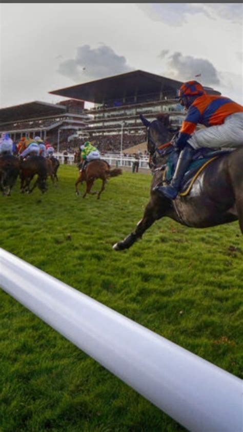 Pin by Sue H on Cheltenham | National hunt racing, National hunt, Horses