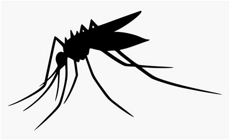 Mosquito Transparent Png - Transparent Background Mosquito Clipart, Png ...