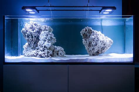 Nice aquascape 1 | Saltwater fish tanks, Reef tank aquascaping ...