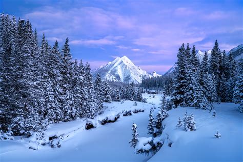 Sunrise On Snow Covered Mountains Canadian Rockies Print | Photos by ...