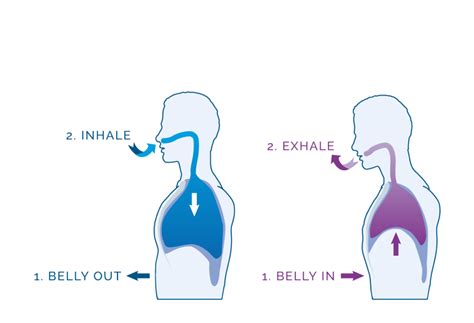 The Mindful Minute: Using Diaphragmatic Breathing During Mindfulness ...