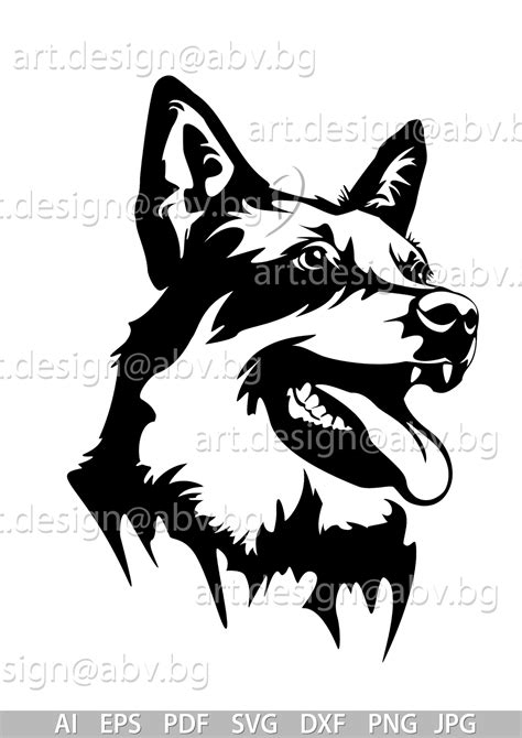 Vector DOG Blue Heeler head AI png pdf eps svg dxf jpg | Etsy