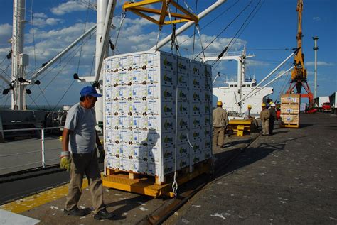 Argentine food exports face a drop in demand and prices — MercoPress