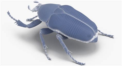 Green scarab beetle walking 3D model - TurboSquid 1377671