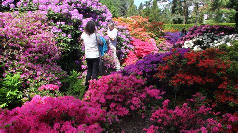 Arboretum Kórnickie - serwis turystyczny Gminy Kórnik