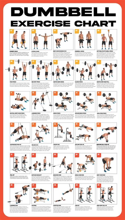 Printable Dumbbell Exercise Chart | Dumbbell workout, Free weight ...