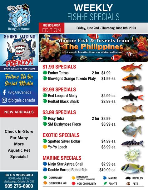 Big Al's (Mississauga) Weekly Specials June 2 to 8