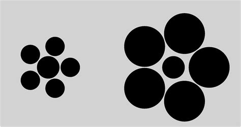 Ebbinghaus Illusion: Relative Size as a Possible Invariant Under ...