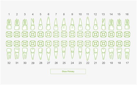 Dental Chart:Amazon.es:Appstore for Android