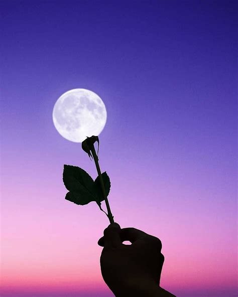 Moon flower, Flowers and Moon HD phone wallpaper | Pxfuel