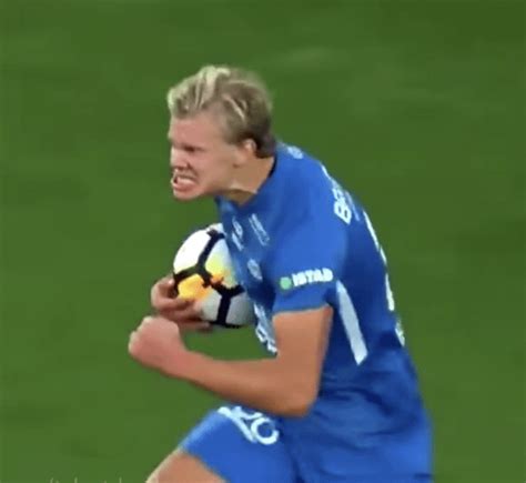 Erling Braut Haaland in his natural habitat : r/footballmemes