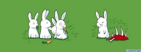 bunnies bunny funny animal animals Facebook Cover timeline photo banner ...