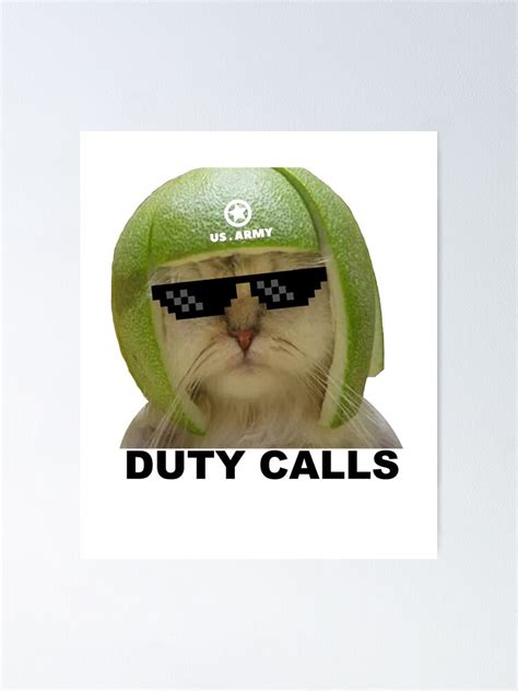 "Limecat - funny lime cat meme" Poster for Sale by Raiko-art | Redbubble