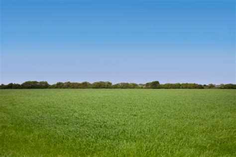 Empty Field Stock Photo - Download Image Now - iStock