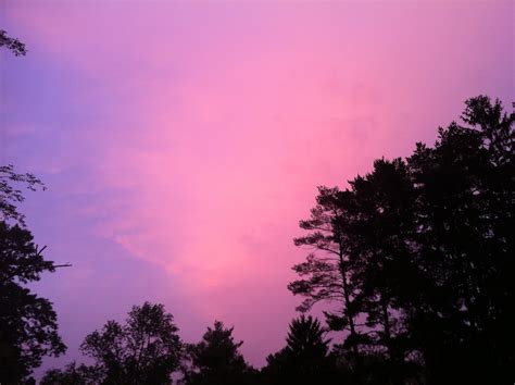 Pink Sky - Pink sky · Free Stock Photo - Boeren Pland1948